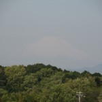 若葉と富士山