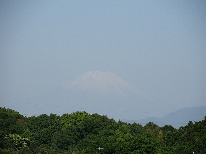 子供の日の富士山画像