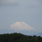 みどりの日の富士山