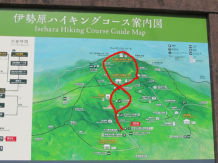 丹沢大山登山 八の字コース フォレスト自家焙煎コーヒー豆店