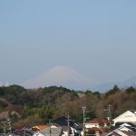 お花見時期の富士山