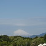 嵐の翌朝の新緑と富士山