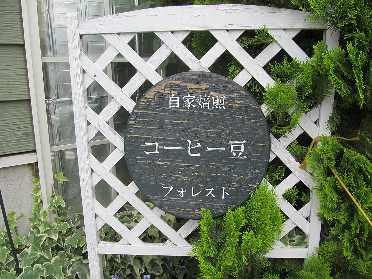 手作りコーヒー屋さん看板 作り直し フォレスト自家焙煎コーヒー豆店