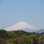 新緑の森に浮かぶ真っ白い富士山