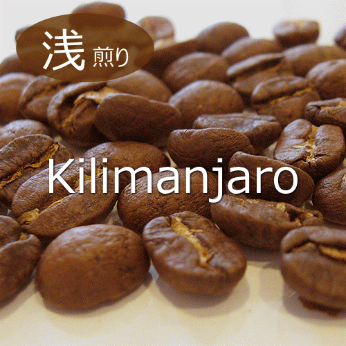 kilimanjaro