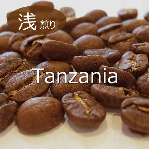 kilimanjaro